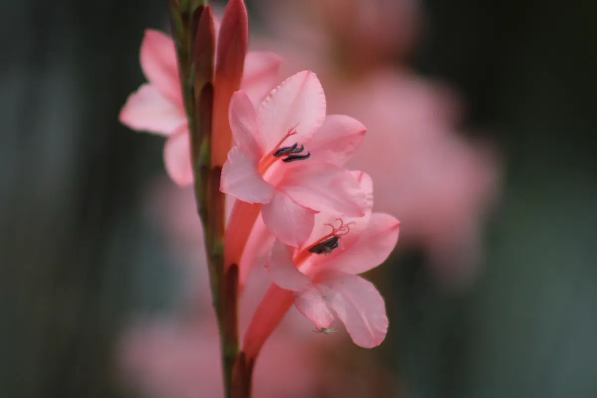 Photographie